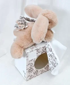 Lapin DOUDOU® - Peluche lapin Beige avec doudou assorti - 16 cm