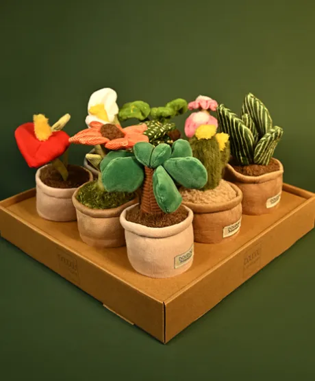 Peluche fleur - 9 cm - Botanique - Cactus Vert
