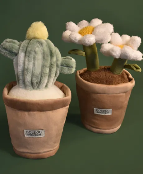 Peluche fleur- Cactus vert 25 cm